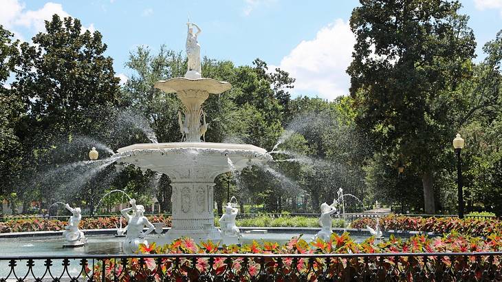 One of many fun things to do in Savannah, GA, is picnicking in Forsyth Park