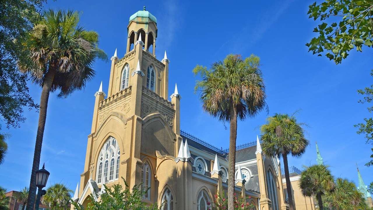 The exterior of a synagogue with a tower surrounded by trees under a blue sky