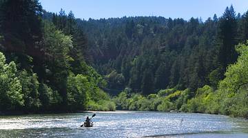 A person kayaking on a river with green trees surrounding under a blue sky