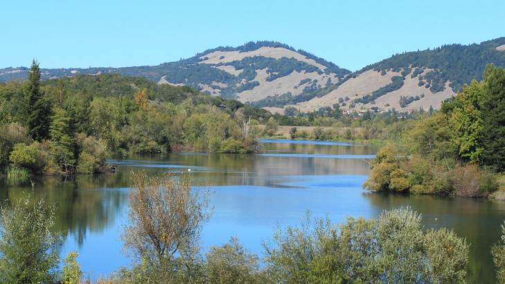 A lake surrounded by trees next to a hill under a blue sky