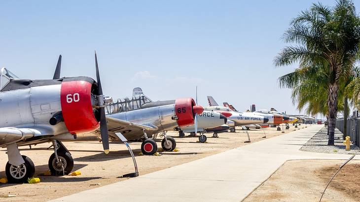 Propeller planes in a line outside next to a path and green tree