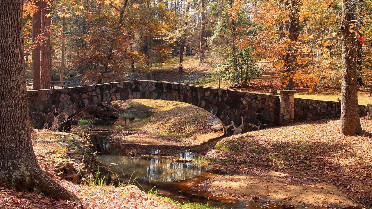 A small stone bridge over a creek in a forest of autumn trees
