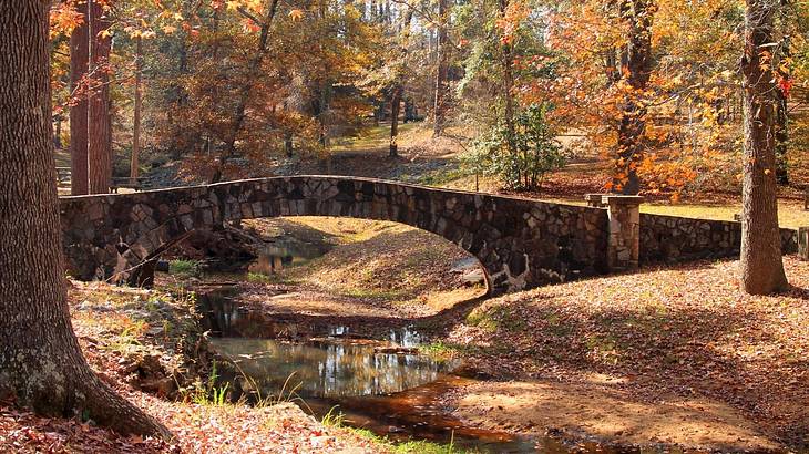 A small stone bridge over a creek in a forest of autumn trees