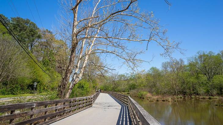 A path next to a river surrounded by green trees and bare winter trees