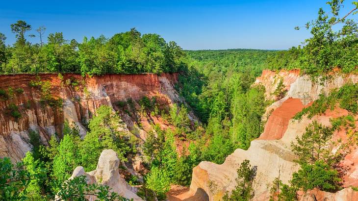 Red rock cliffs covered in greenery next to a forest under a blue sky