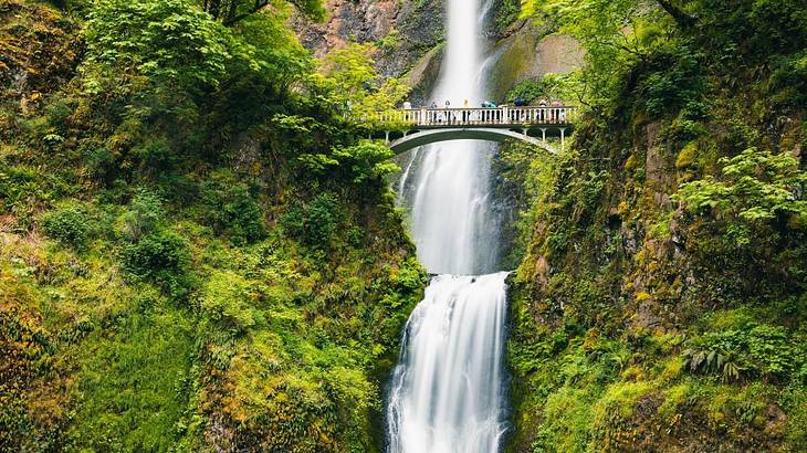 A waterfall flowing through greenery-covered rocks with a bridge over it