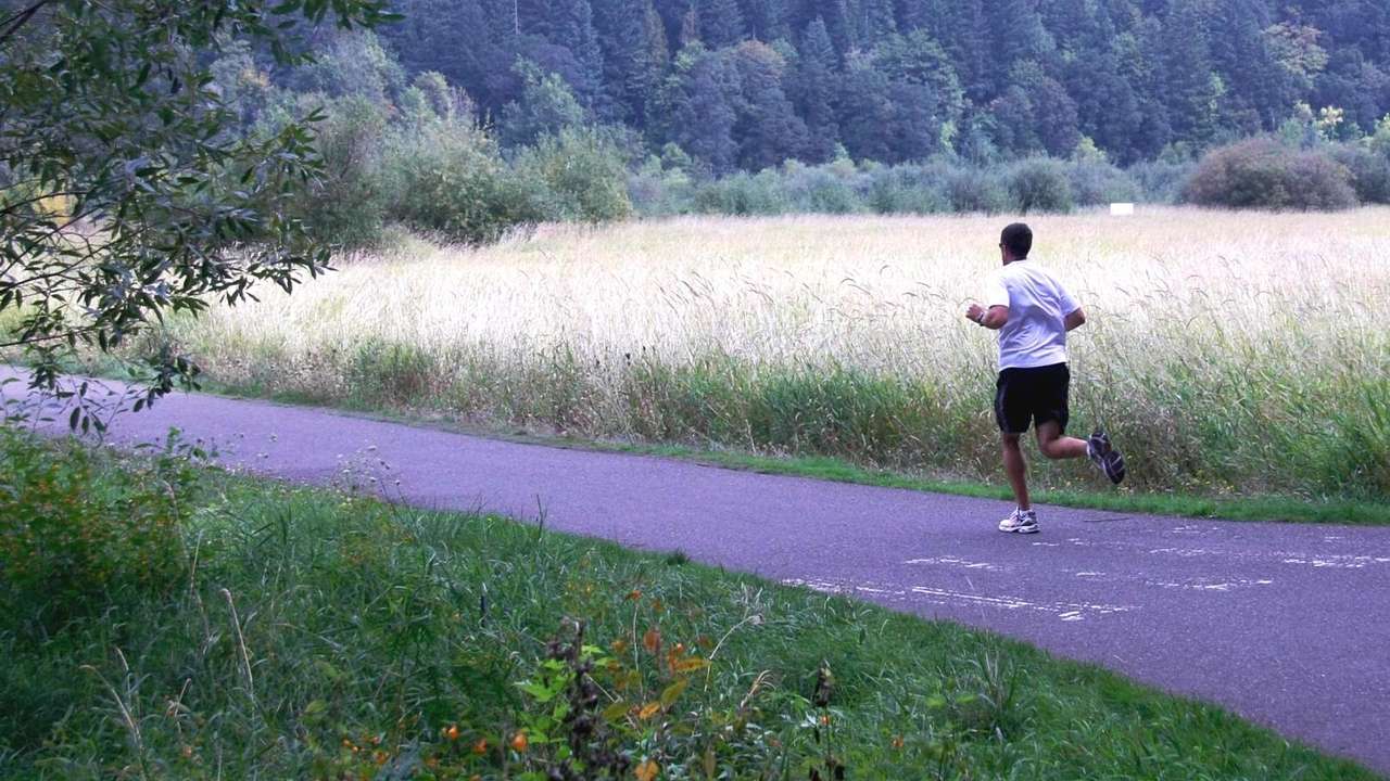 A person running on a trail surrounded by grass and other greenery