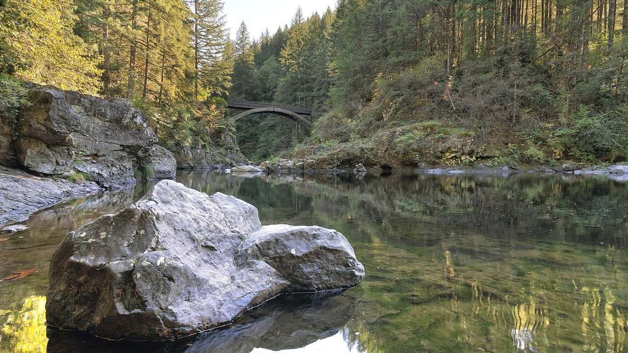 A creek with boulders in it and a small bridge in the distance surrounded by trees
