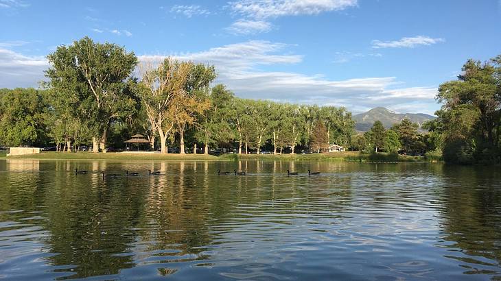 A lake next to trees and grass with a mountain in the distance under a blue sky A lake next to trees and grass with a mountain in the distance under a blue sky