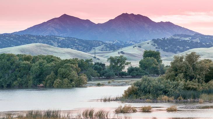 A mountain with hills, trees, and a pond in front of it under a pink sky