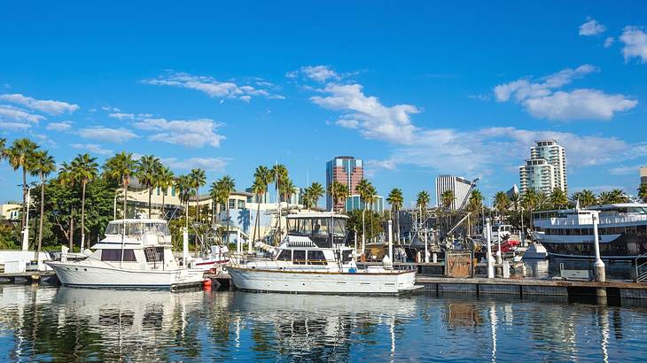 Boats in a marina with palm trees behind them under a blue sky with some clouds