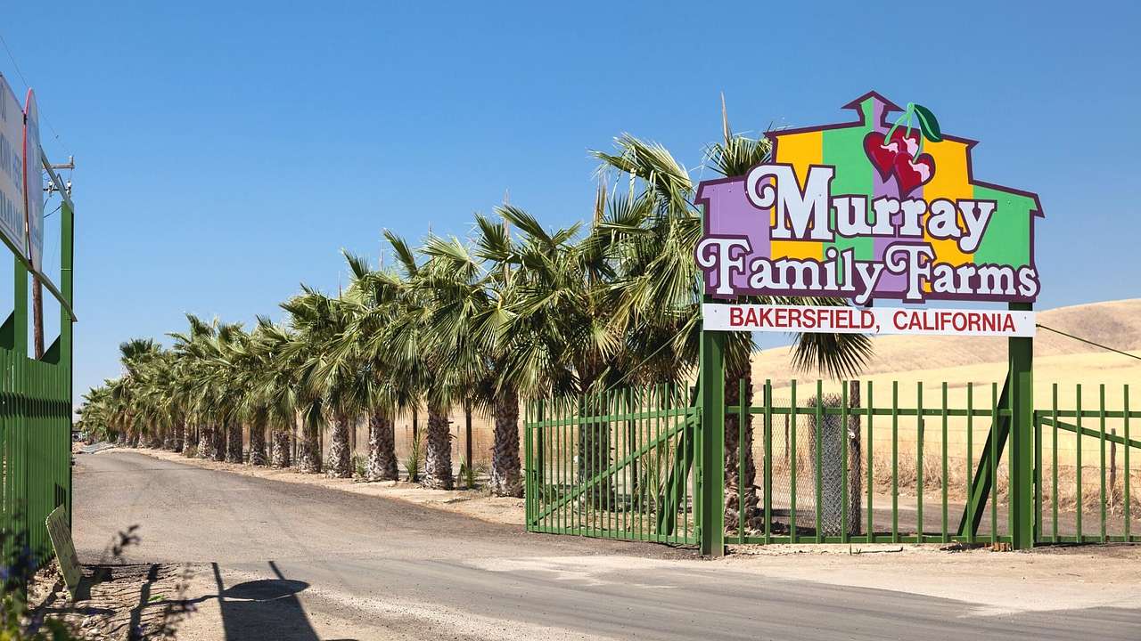 One of the fun things to do in Bakersfield, CA, is visiting Murray Family Farms