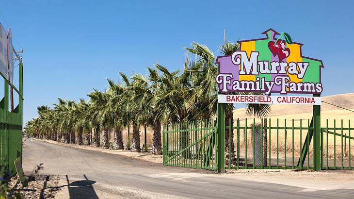 One of the fun things to do in Bakersfield, CA, is visiting Murray Family Farms