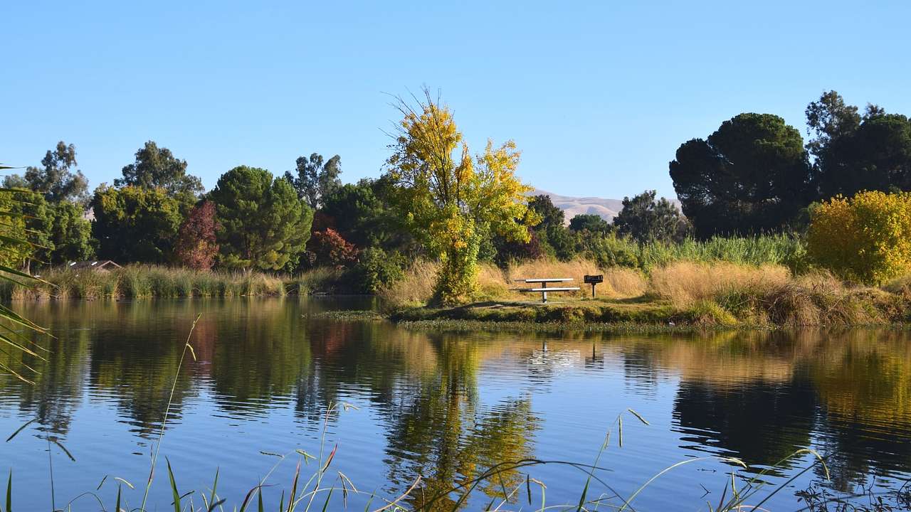 Visiting Hart Memorial Park is one of the fun things to do in Bakersfield, California