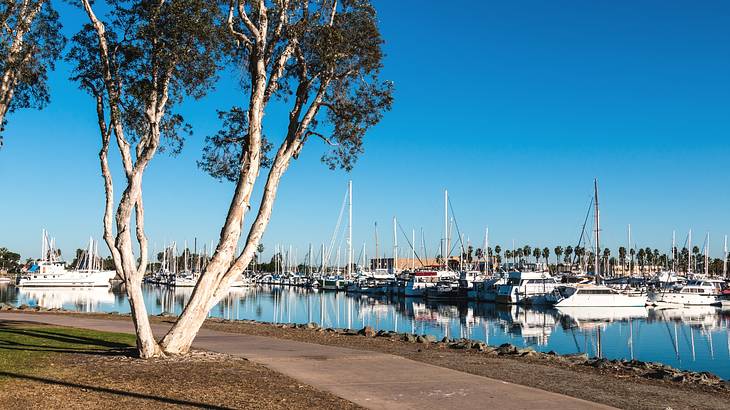 One of the fun things to do in Chula Vista, CA, going to Chula Vista Bayfront Park