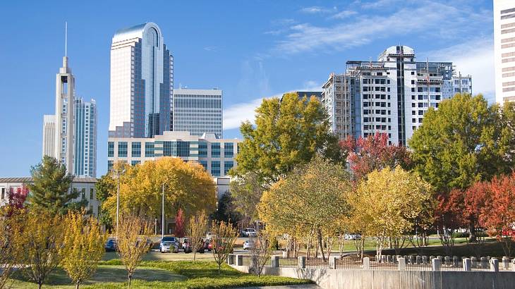 City buildings with trees and a park in front of them