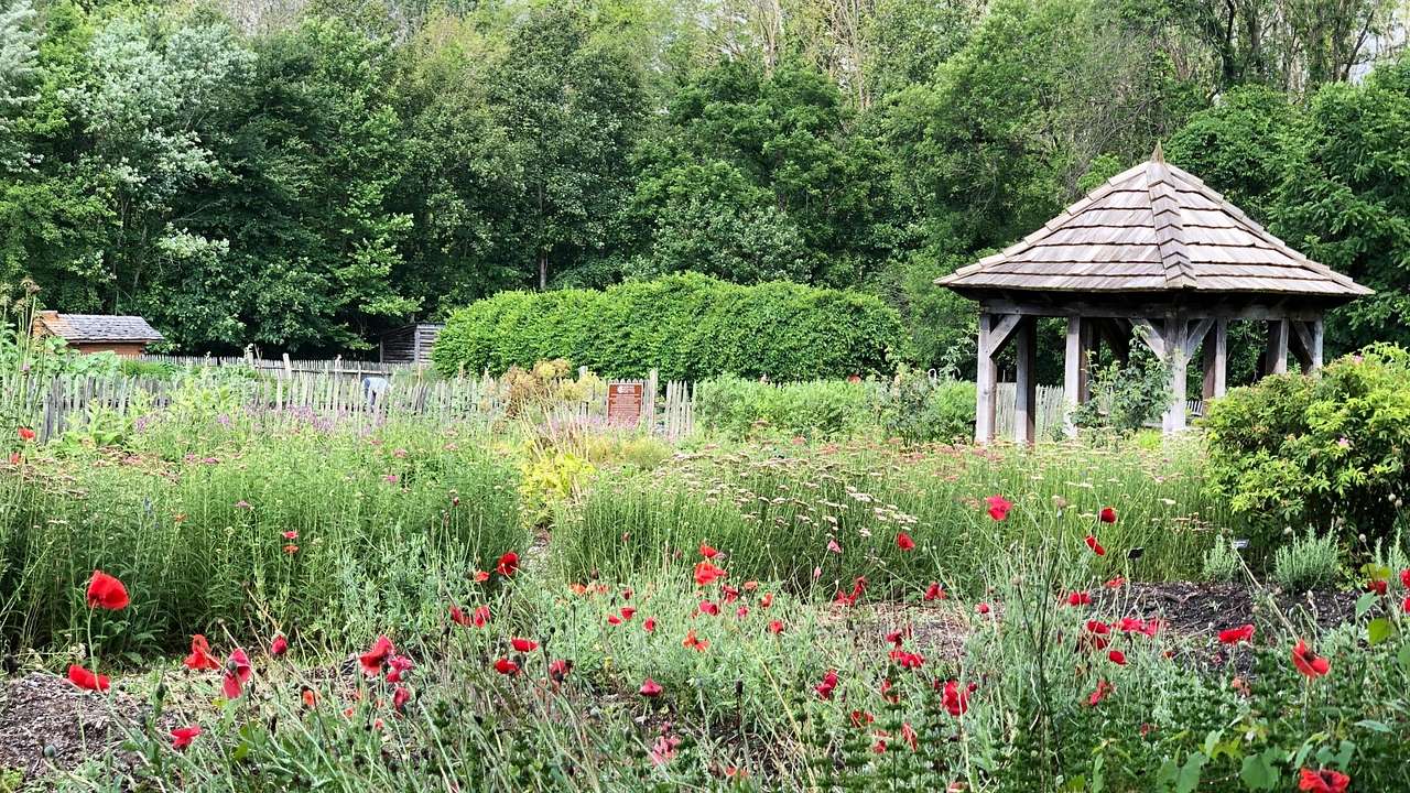 A garden with greenery, red flowers, and a small wooden structure