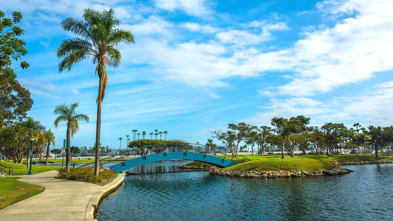A lagoon with a bridge over it and palm trees and a path to the side
