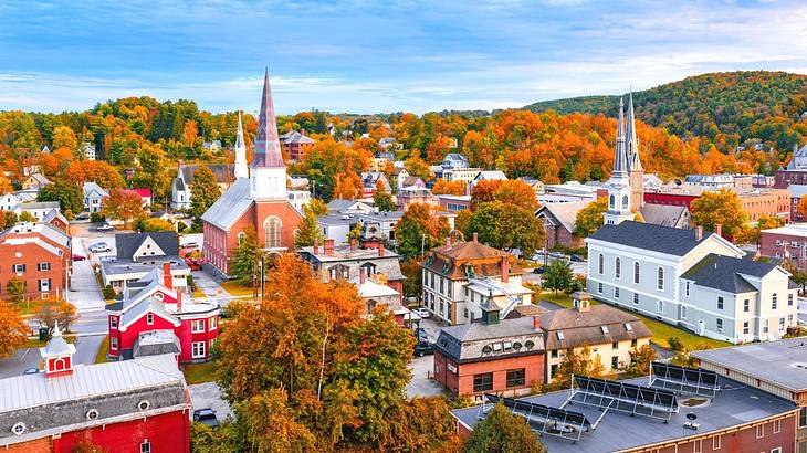 A view over a city with a church and other buildings and fall trees