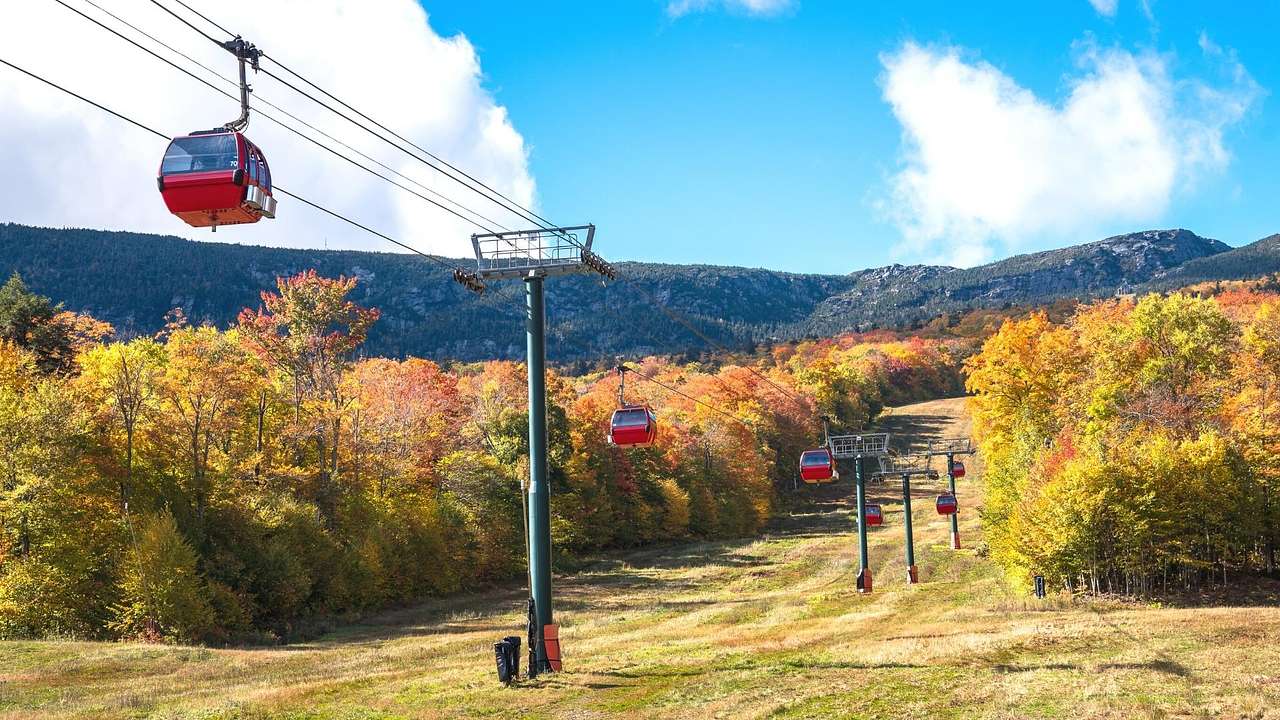 A cable car system over a forest with fall trees and a mountain in the distance