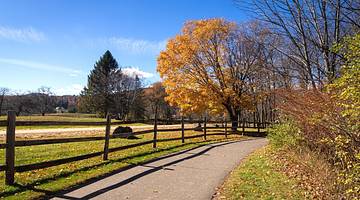 A path with fall trees on one side and a fence and grass on the other