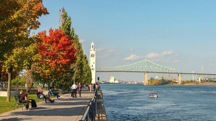 A path next to the water and fall trees with a bridge and clock tower in the distance