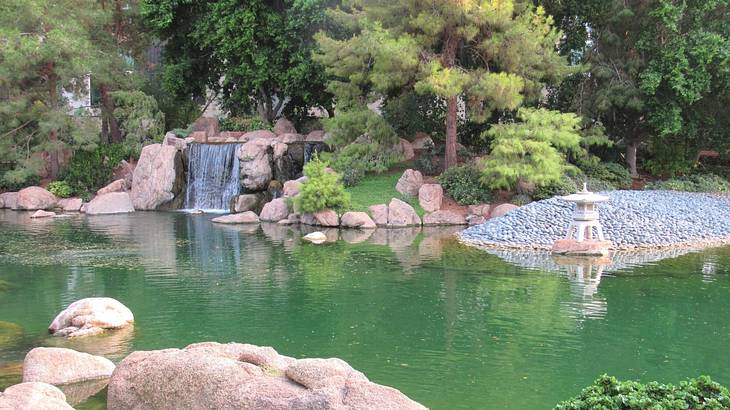One of the best Phoenix date ideas is going to the Japanese Friendship Garden
