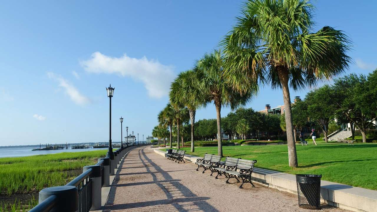 A path with benches and palm trees on one side and grass and the ocean on the other