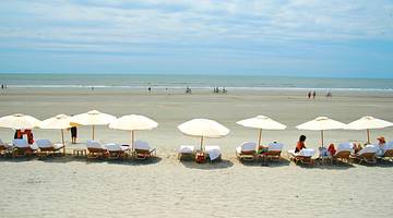 A beach with people on sunbeds under sun umbrellas