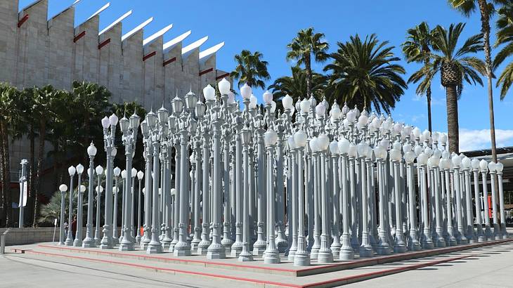 Lots of white lampposts in a square with palm trees behind them