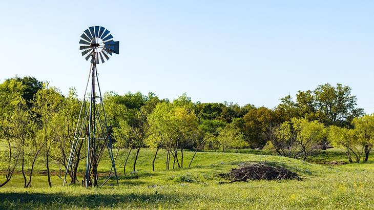 A metal windmill in a grassy field surrounded by trees under a clear sky