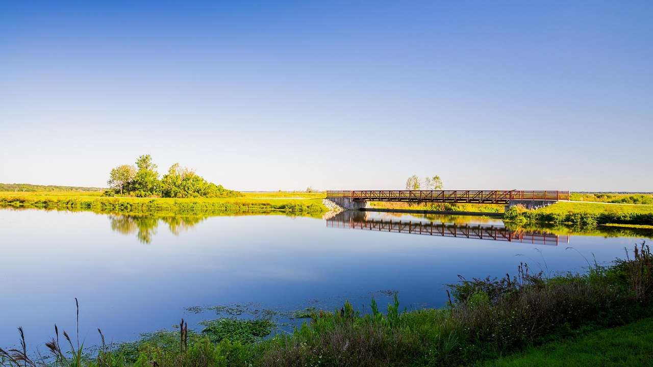 One of the fun things to do in Gainesville, FL, is the Sweetwater Wetlands Park