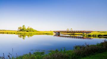 One of the fun things to do in Gainesville, FL, is the Sweetwater Wetlands Park