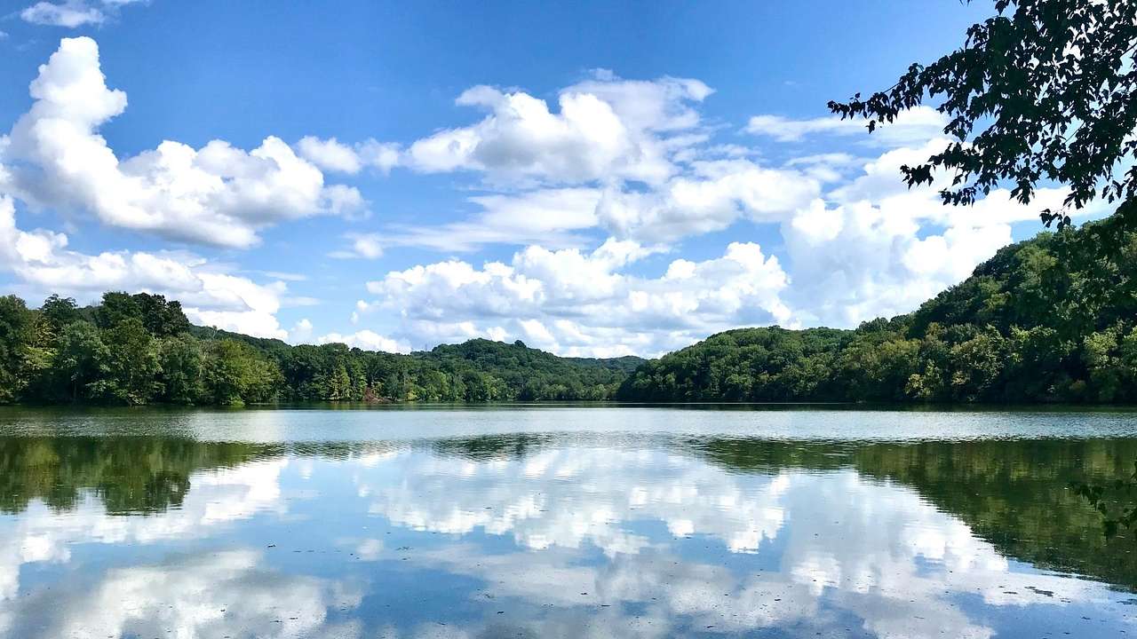 A lake with trees around it under a blue sky with clouds