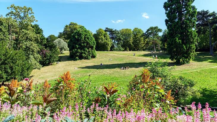 A park with a green lawn, trees, and colorful flowers under a blue sky