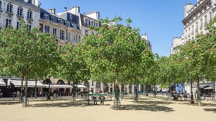 A small square with trees and cafes surrounding it on a sunny day