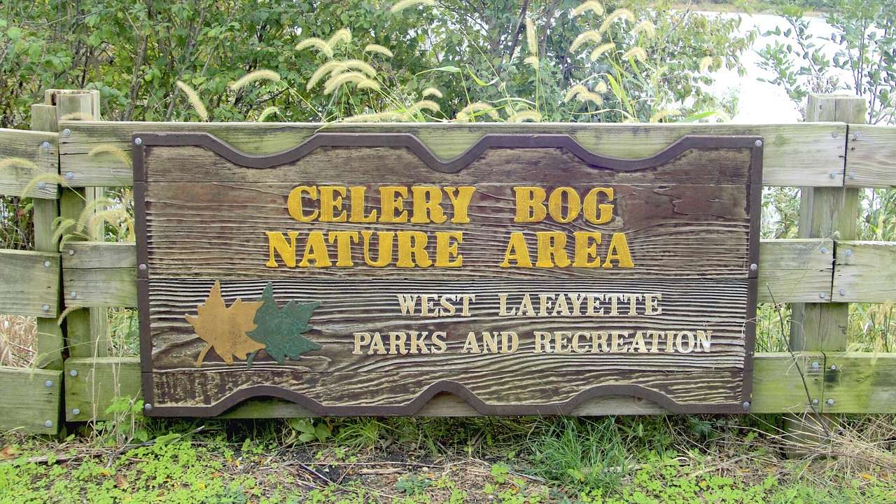 A sign that says "Celery Bog Nature Area" with greenery surrounding it