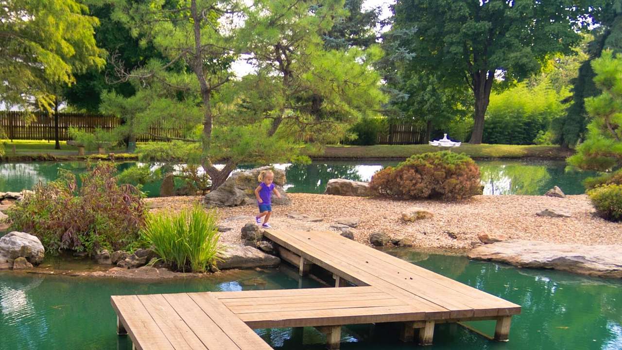 A pond with a wooden bridge over it and greenery surrounding it
