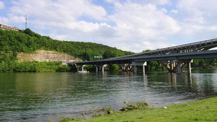 A bridge over water with greenery surrounding it