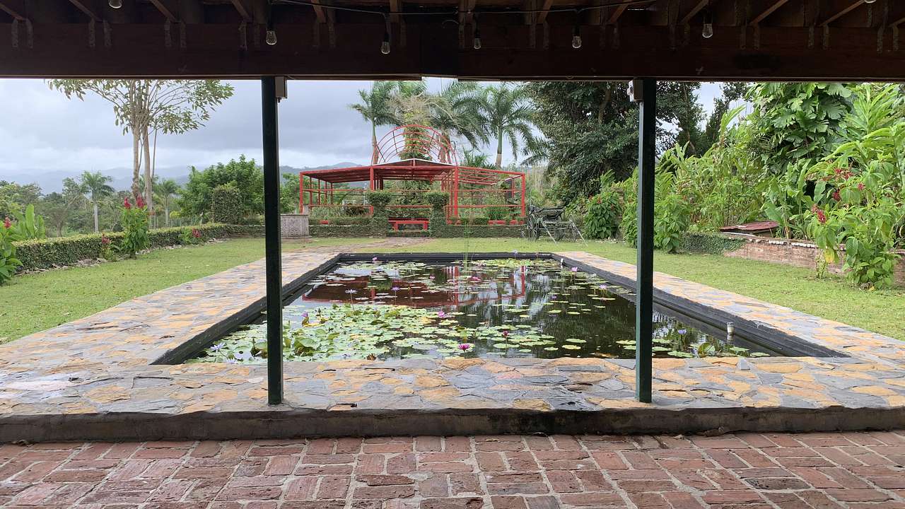 Caguas Botanical Gardens, Puerto Rico