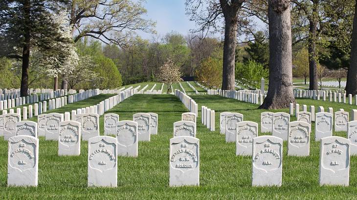 Green grass with white gravestones and trees on it, stretching into the distance