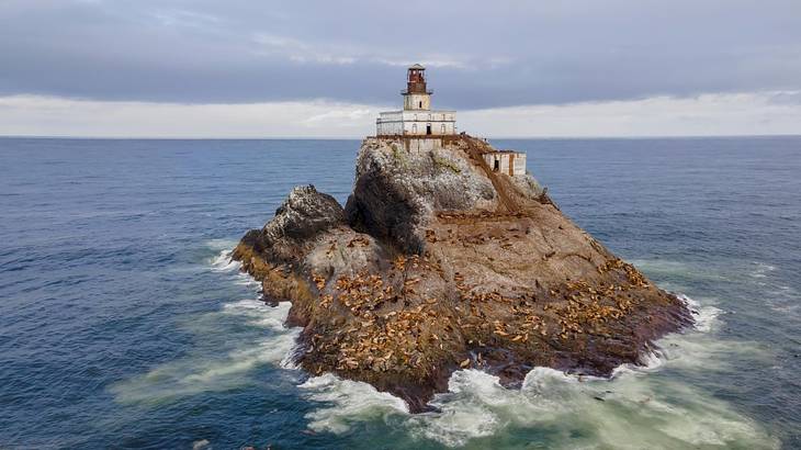 A lighthouse sitting on a rock with seals on it and seawater surrounding it