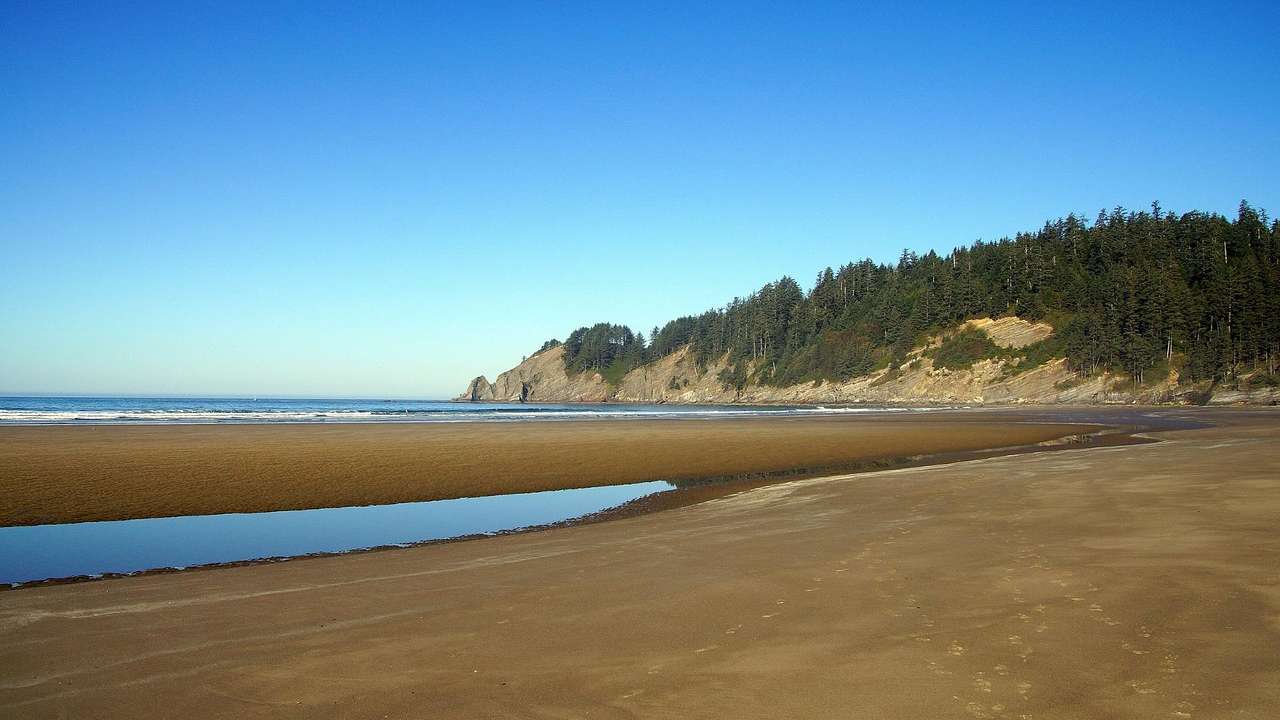 A sandy shore with a pool of water on it, the ocean in the distance, and a green hill