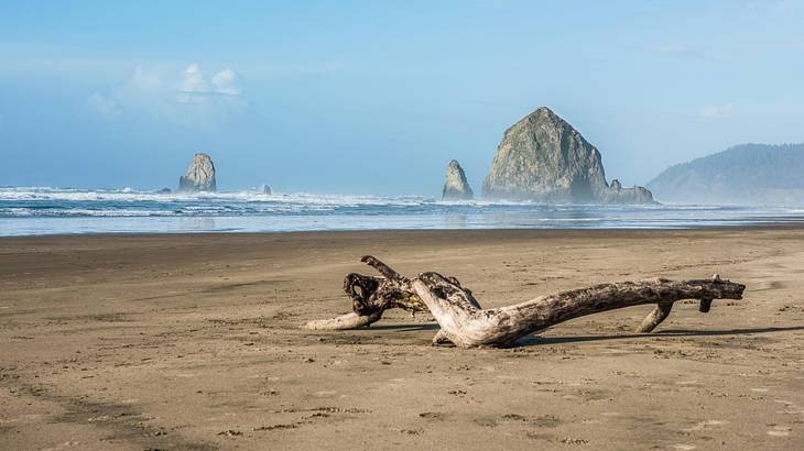 A sandy shore with a piece of drift wood on it and the sea and cliffs in the distance