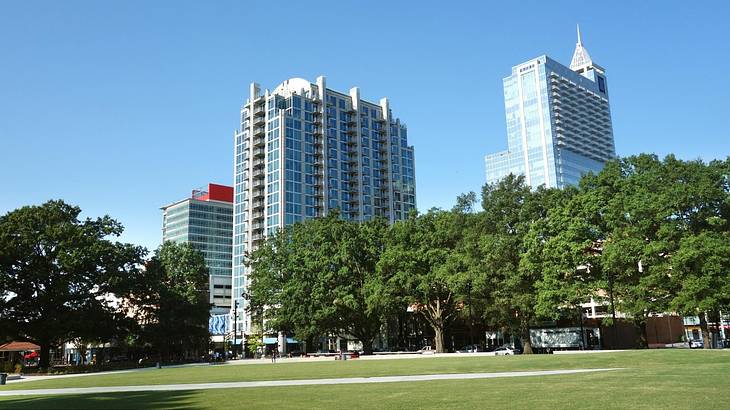 A park with green grass and trees and tall buildings in the background