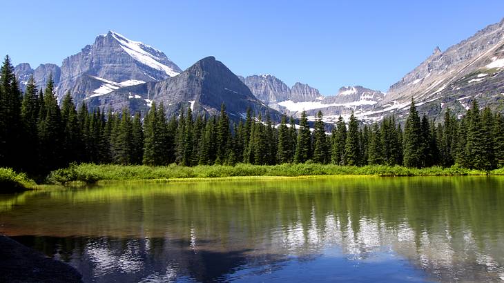 A lake with trees and a snow-capped mountain behind it under a blue sky