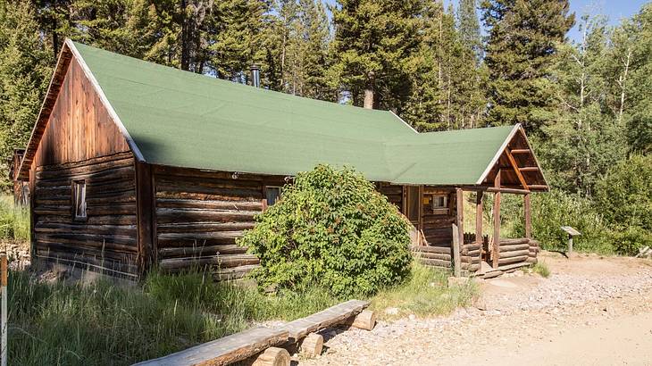 A log cabin with a green roof next to trees and a dirt path