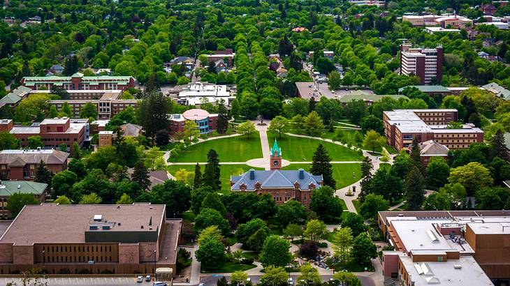 View from a mountain top with university buildings and greenery below