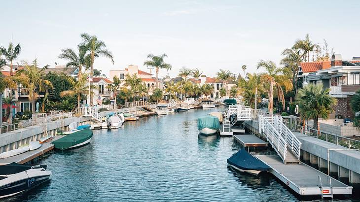 A canal with boats on it and palm trees and buildings on either side of it A canal with boats on it and palm trees and buildings on either side of it