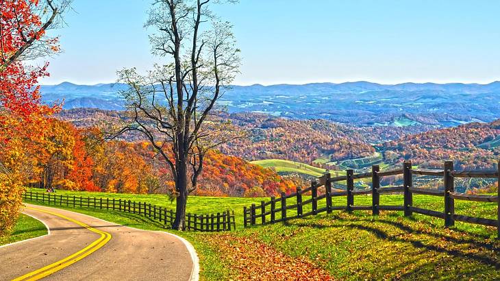 Driving along the Blue Ridge Parkway is one of the fun things to do in Lexington, VA